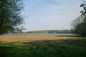 Afbeelding invoegen