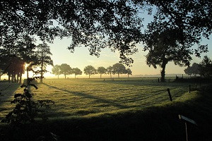 Afbeelding invoegen