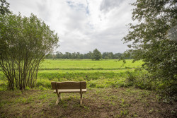 Afbeelding invoegen